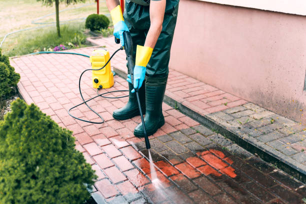 Best Soft Washing for Delicate Surfaces in Almedia, PA